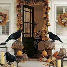 two black crows sitting on top of pumpkins in front of a door with candles