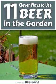 a beer mug sitting on top of a green table