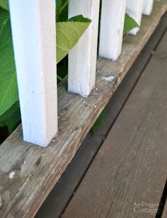 a close up of a wooden bench with leaves growing on the top and bottom posts