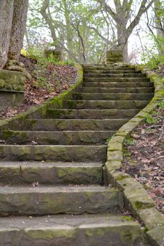 stone steps lead up to trees in the woods