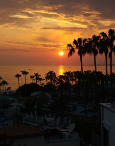 the sun is setting behind some palm trees