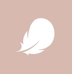 a white feather on a pink background