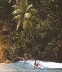 two people riding surfboards on top of a wave in the ocean near palm trees