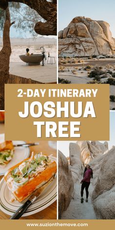 two - day itinerary joshua tree in joshua tree national park, arizona usa