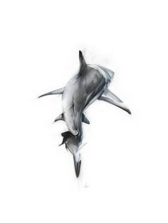 a black and white drawing of two dolphins