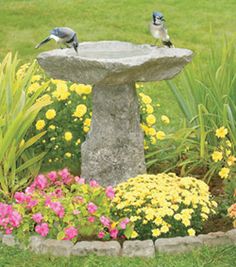 two birds sitting on top of a stone birdbath in a garden filled with flowers