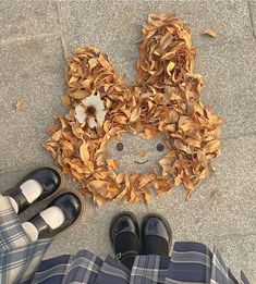 two people standing next to each other on the ground with leaves around them and a face made out of leaves