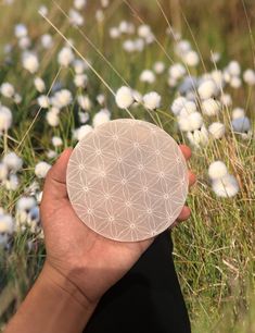 a hand holding a round object in the middle of a field with flowers on it