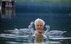 a man is swimming in the water with some birds on his back and one duck behind him