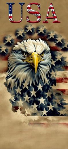 an eagle with the american flag on it's back and words usa written in large letters