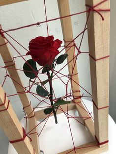 a red rose sitting on top of a white table next to a piece of wood