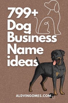 Dog Business Names, Dog Breeding Business Names, Dog Business Name Ideas, Dog Grooming Business Names, Dog Kennel Business Names, Dog Sitting Business Names, Dog Training Business Names, Dog Treat Business Names Dog Daycare Ideas Business, Vet Clinic Name Ideas, How To Start A Dog Breeding Business, Petshop Names Ideas, Pet Business Name Ideas, Dog Grooming Names Ideas, Dog Grooming Business Names, Pet Shop Names Ideas