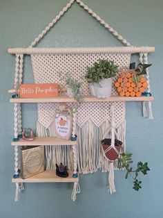 a wall hanging shelf filled with potted plants and other items on top of it