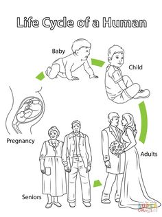 the life cycle of a human in black and white, with an image of two people holding