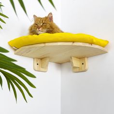 a cat sitting on top of a banana shaped shelf next to a green plant and white wall