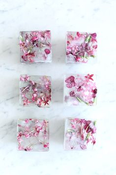 four square pieces of ice cubes with pink flowers in them on a marble surface