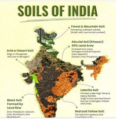 Physical Geography Notes, Polity Notes For Upsc, Indian Geography, World History Facts, History Infographic