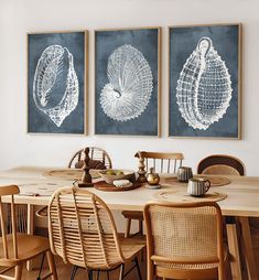 a dining room table with chairs and pictures on the wall above it that have seashells drawn on them