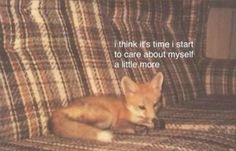 an orange fox laying on top of a couch with the caption think it's time i start to care about my self as little more