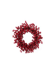 a bunch of red berries are in the shape of a circle on a white background