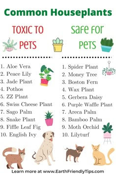 a poster with the words common houseplants to keep in your home and pets