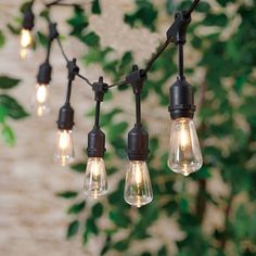 several light bulbs are hanging from a tree