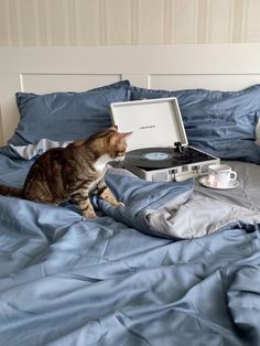 a cat sitting on top of a bed next to a record player