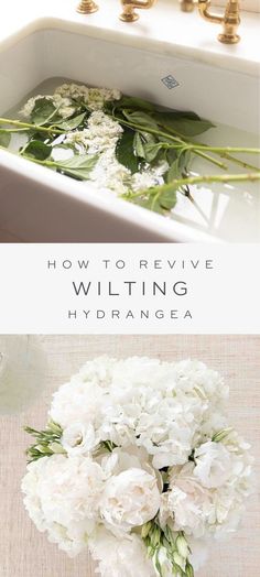 white flowers and greenery in a bathroom sink with the words how to remove wilting hydrangea