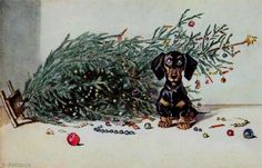 a dachshund dog sitting next to a christmas tree with decorations on it