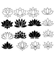 black and white water lilies clipart - kosten svger / png