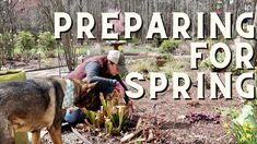 a woman kneeling down next to a dog in a garden with the words preparing for spring