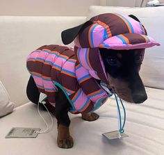 a small dog wearing a jacket and hat on top of a white couch next to a charger