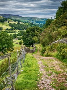 a dirt path in the middle of a lush green field