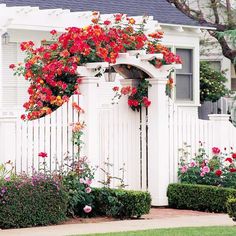 a white picket fence with red and pink flowers growing on it's top part