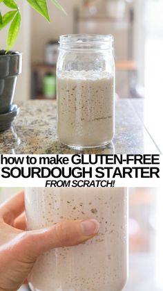 how to make gluten - free sourdough starter from scratch and forth