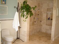 a bathroom with a toilet, shower and plant in it