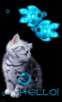 a white kitten sitting next to a blue fish with bubbles on it's back