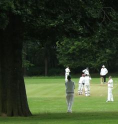 a group of people standing on top of a lush green field next to a tree