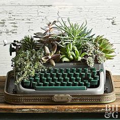 an old typewriter with succulent plants in it