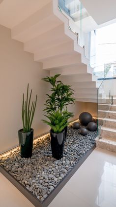 there are two plants on the ground in front of some rocks and stones under a stair case