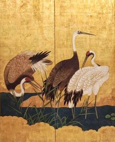 two cranes are standing next to each other in the water, with grass and reeds