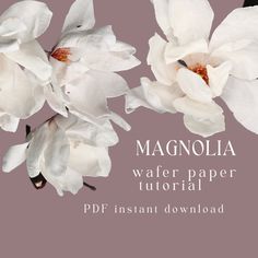 white flowers on a pink background with the words magnolia water paper