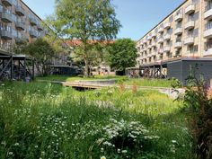 an abandoned building in the middle of a grassy area with lots of flowers and trees