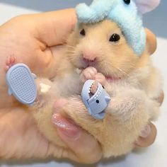 a person holding a small hamster in their hand with a blue hat on it's head