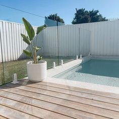 a small pool in the middle of a wooden deck with a potted plant next to it