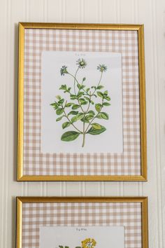 two framed pictures with flowers and leaves on them