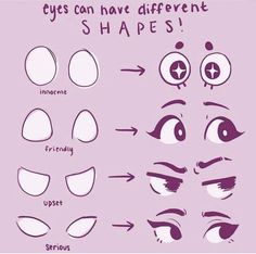 the different types of eyes can have different shapes and sizes for each individual eye shape