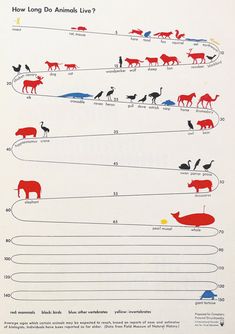 the diagram shows how long animals live