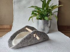 a potted plant sitting on top of a bed next to a pair of slippers