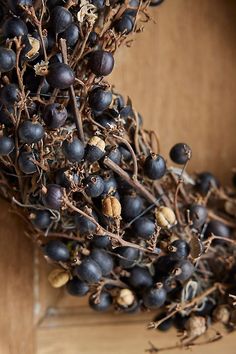 some black berries are sitting on the table